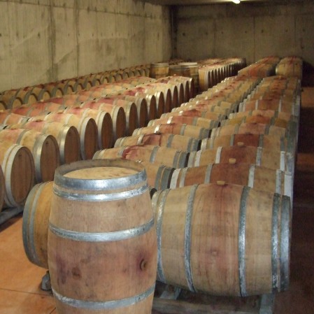 Barriques auf Chateau les Bouzigues Chateau les Bouzigues Weinkeller